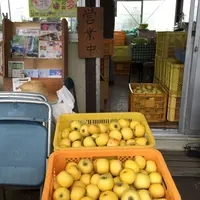ひざつきフルーツプラザの写真・動画_image_50624