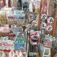 BASE nelloの写真・動画_image_506936