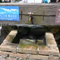 五千尺ホテルの写真・動画_image_5079