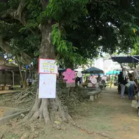 希望ケ丘公園の写真・動画_image_508467