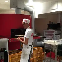 スポンティーニの写真・動画_image_51131