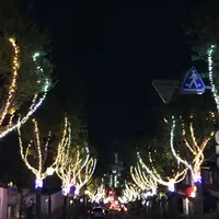 神戸 北野の写真・動画_image_51189
