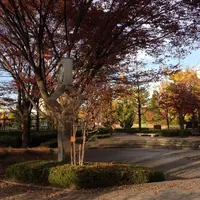 群馬音楽センターの写真・動画_image_51303