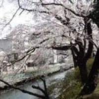 高崎城址の写真・動画_image_51317