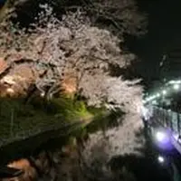 高崎城址の写真・動画_image_51318