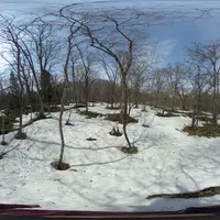 随神門の写真・動画_image_513769