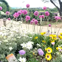 あしかがフラワーパークの写真・動画_image_514251