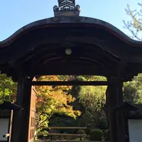 金地院の写真・動画_image_51429