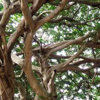 希望ケ丘公園の写真・動画_image_51477