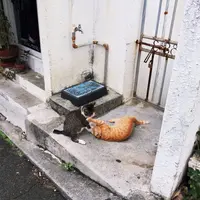 桜坂劇場の写真・動画_image_51493