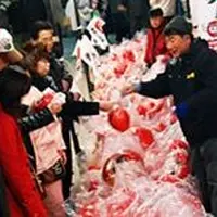 少林山達磨寺の写真・動画_image_51594