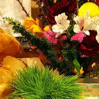 タシデレの写真・動画_image_516409