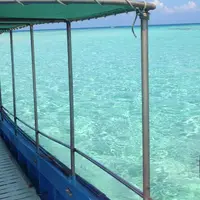 百合ヶ浜の写真・動画_image_51777