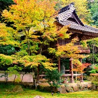 宗鏡寺（沢庵寺）の写真・動画_image_51936