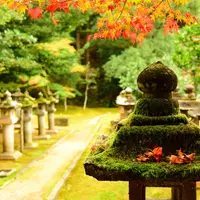 宗鏡寺（沢庵寺）の写真・動画_image_51937