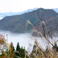 竹田城跡の写真・動画_image_51943