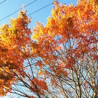 帝釈峡の写真・動画_image_52050