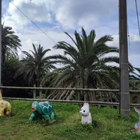 香珠子ビーチの写真・動画_image_521262