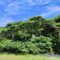 カトリック江上教会 (江上天主堂)の写真・動画_image_521337