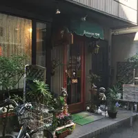 ヤナギの写真・動画_image_52143