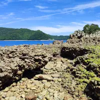 奈留千畳敷の写真・動画_image_521434