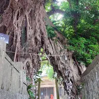 カトリック大曽教会の写真・動画_image_522951