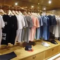  カフェ キツネ（CAFE KITSUNE）の写真・動画_image_52353