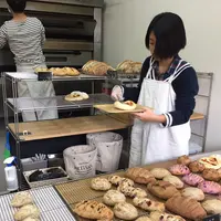 oval の写真・動画_image_52417