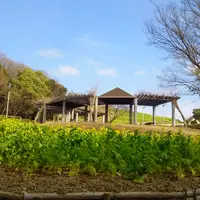 総合運動公園駅の写真・動画_image_524517