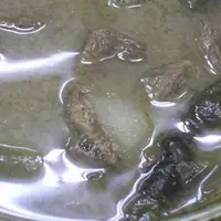 お食事処 黄金(くがに)の写真・動画_image_5249