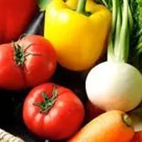 Mr.FARMERの写真・動画_image_52498