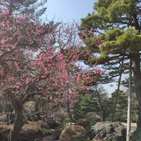 兼六園の写真・動画_image_525802