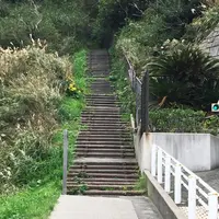 披露山公園の写真・動画_image_52610