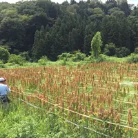 上野原市の写真・動画_image_52619