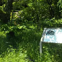 田村家住宅の写真・動画_image_526719