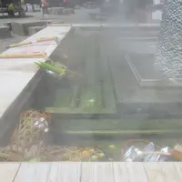 清水地熱公園遊客服務中心の写真・動画_image_527921