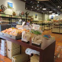 三星青葱文化館の写真・動画_image_527924