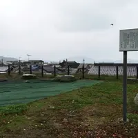 小浜城址の写真・動画_image_52821