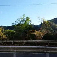 根本山の写真・動画_image_53151