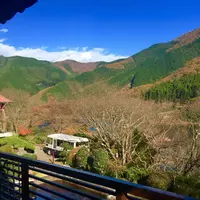 雪の屋の写真・動画_image_53188