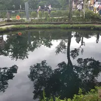 忍野八海の写真・動画_image_532178