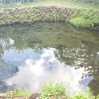 忍野八海の写真・動画_image_532182