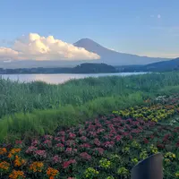 大石公園の写真・動画_image_532186