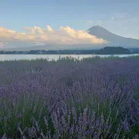 大石公園の写真・動画_image_532187