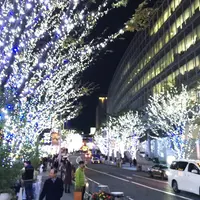 六本木けやき坂通りの写真・動画_image_53311