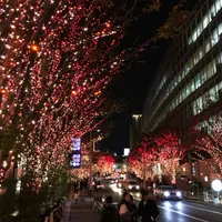 六本木けやき坂通りの写真・動画_image_53312