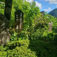 寝覚の床の写真・動画_image_535084