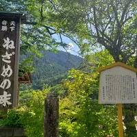 寝覚の床の写真・動画_image_535086