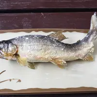 那須観光やなの写真・動画_image_536512