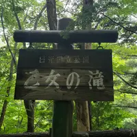 乙女の滝の写真・動画_image_536515